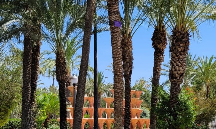 Puzzle Palmeraie d'Elche