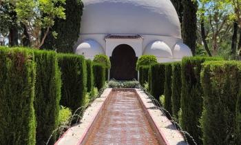 Puzzle 11684 - Fontaine Elche