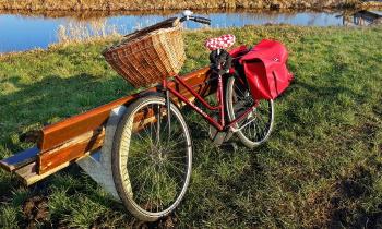 Puzzle 11529 - Vélo champêtre