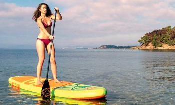 Puzzle 10094 - PADDLE