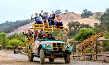 Puzzle 10456 - SAFARI