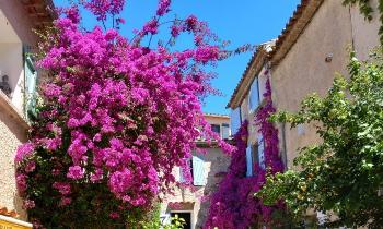 Puzzle 10555 - Dans le VAR