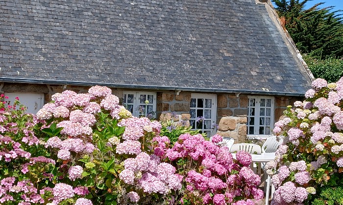 Puzzle maison bretonne et hortensias