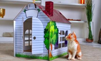 Puzzle 10668 - ma nouvelle maison