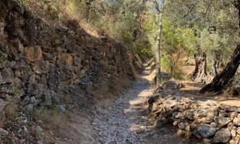 Puzzle 11616 - Le chemin