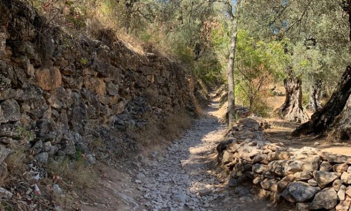 Puzzle Le chemin