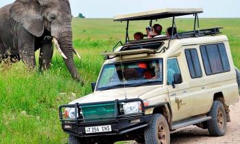 Puzzle 10159 - SAFARI