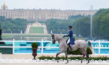 Puzzle 10209 - Jeux Olympique   l'équitation