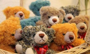 Puzzle 10536 - Ours en peluche
