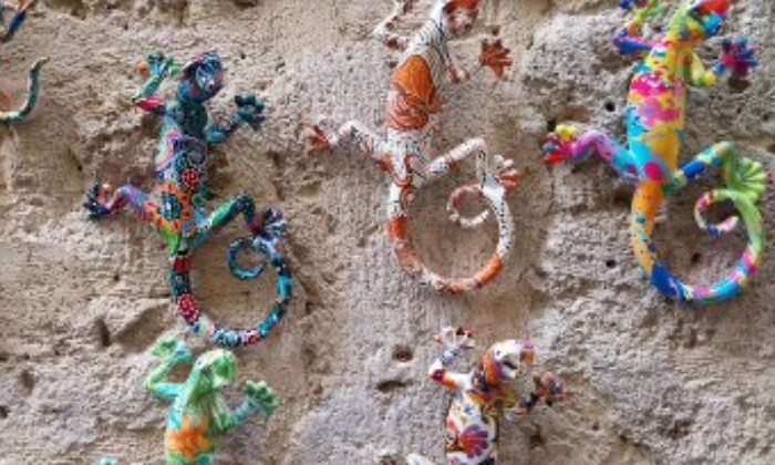 Puzzle Geckos