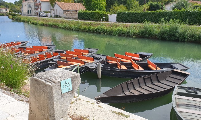 Puzzle Venise verte