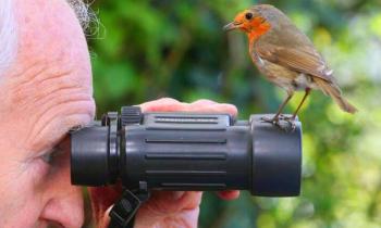 Puzzle 14838 - mais où il est passé