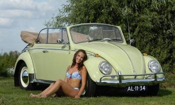 Puzzle 10655 - VW COCCINELLE