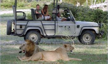Puzzle 10996 - SAFARI