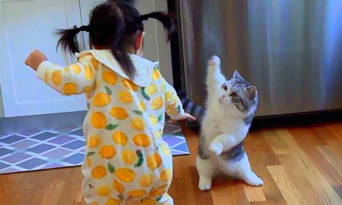 Puzzle kun fu tchahting
