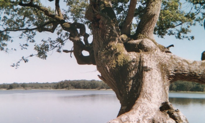 Puzzle étang mer rouge la BRENNE