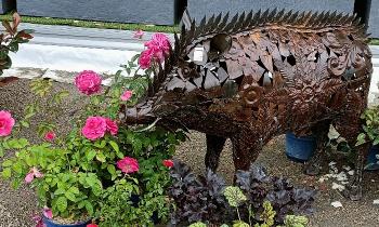 Puzzle 10427 - sanglier