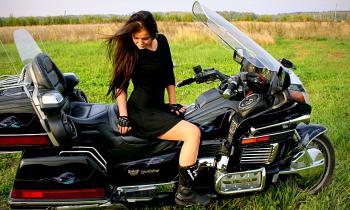 Puzzle 10835 - 1500 GOLDWING