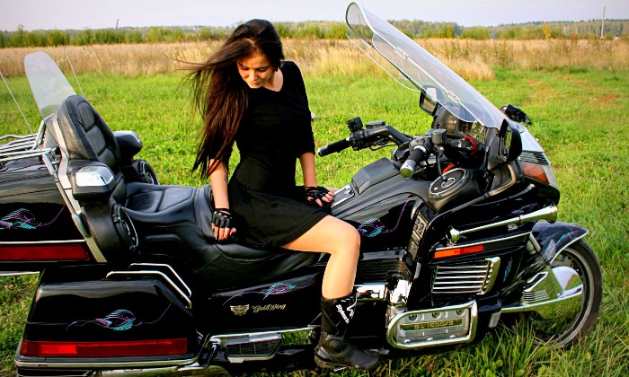 Puzzle 1500 GOLDWING