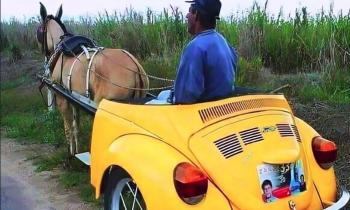 Puzzle 14273 - voiture un chevaux