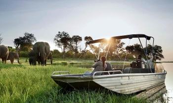 Puzzle 10664 - SAFARI