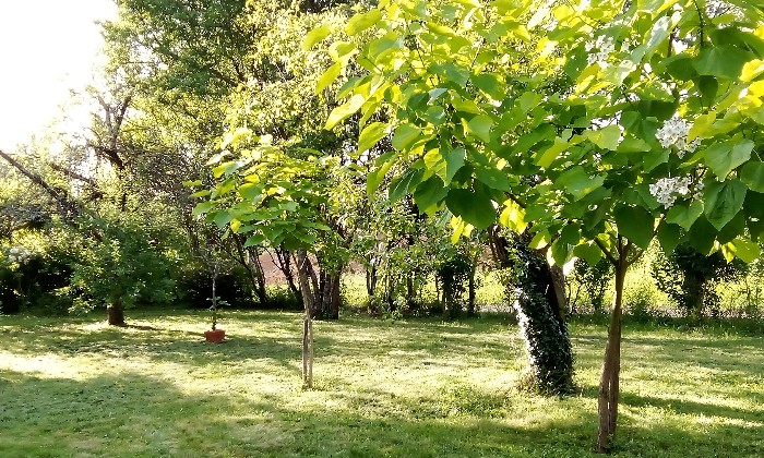 Puzzle verger sous le soleil - Paysages & Fleurs - Absolu Puzzle