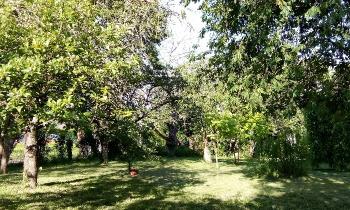 Puzzle 14605 - jardin