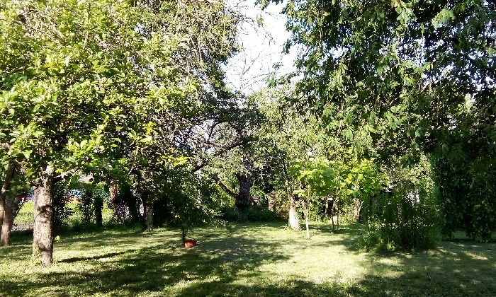 Puzzle jardin - Paysages & Fleurs - Absolu Puzzle