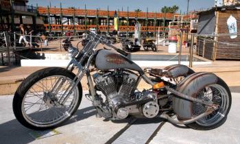 Puzzle 12894 - MOTO RAT'S