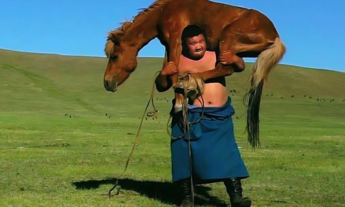 Puzzle une force de cheval