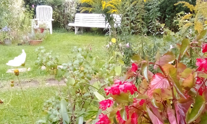 Puzzle petit coin de jardin - Paysages & Fleurs - Absolu Puzzle