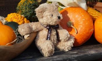 Puzzle 14026 - Ourson et curcubitacés