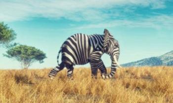 Puzzle 12211 - Bizarre nature