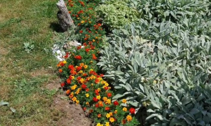 Puzzle Bordure fleurie