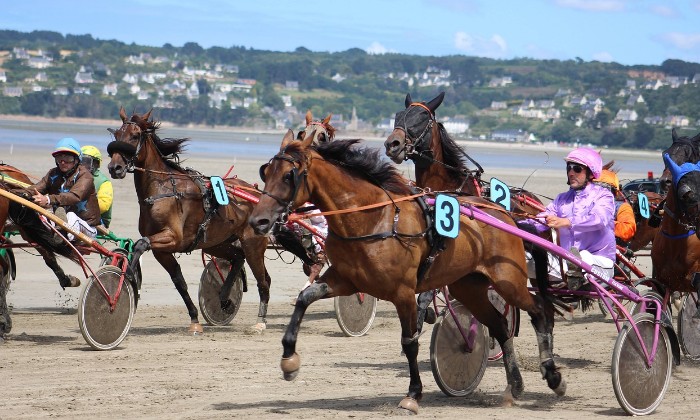 Puzzle Des trotteurs