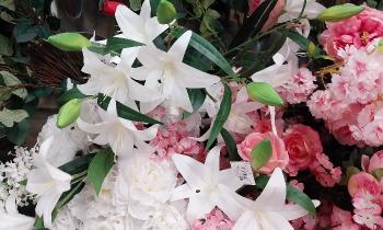 Puzzle 12767 - Fleurs