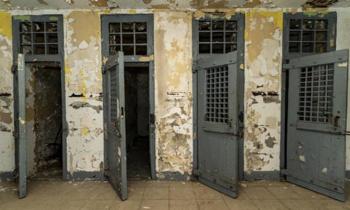 Puzzle 12133 - Portes de cellules