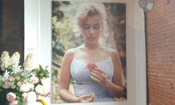 Puzzle 13176 - Exposition photo