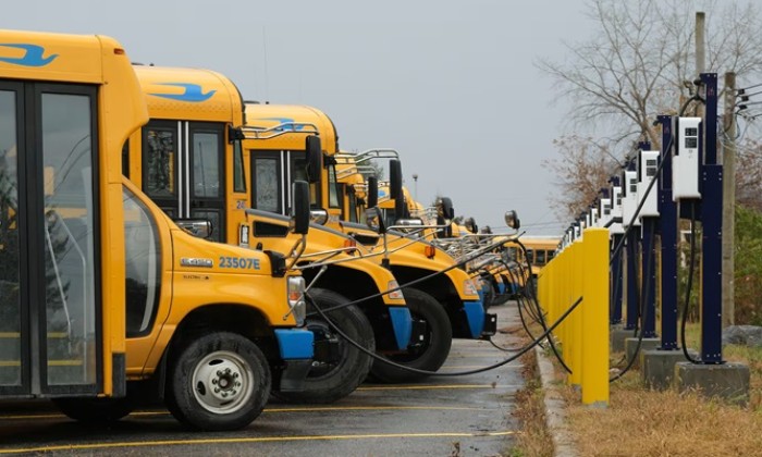 Puzzle Autobus électriques - Véhicules & Transports - Absolu Puzzle