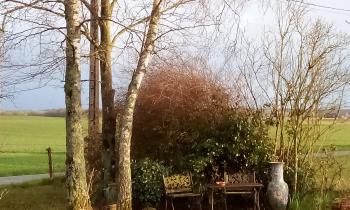 Puzzle 11275 - vue sur la campagne
