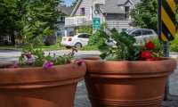 Puzzle Pot de fleurs
