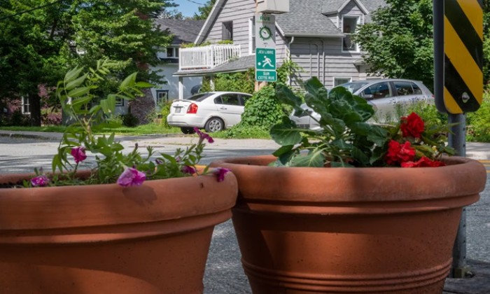 Puzzle Pot de fleurs