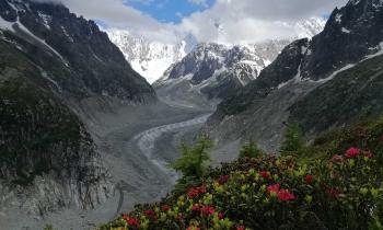 Puzzle 12360 - mer de glace