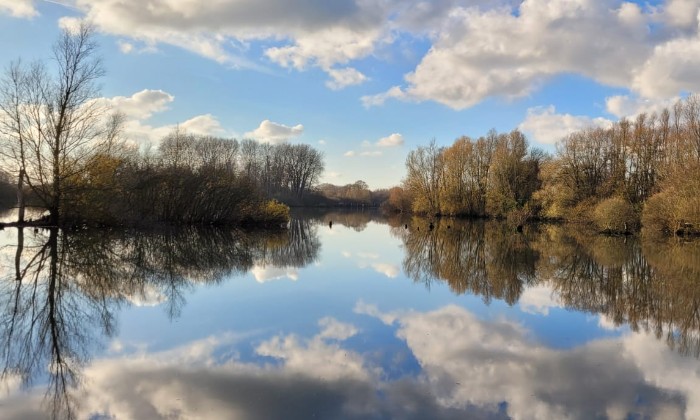 Puzzle Reflets dans l'eau - Paysages & Fleurs - Absolu Puzzle