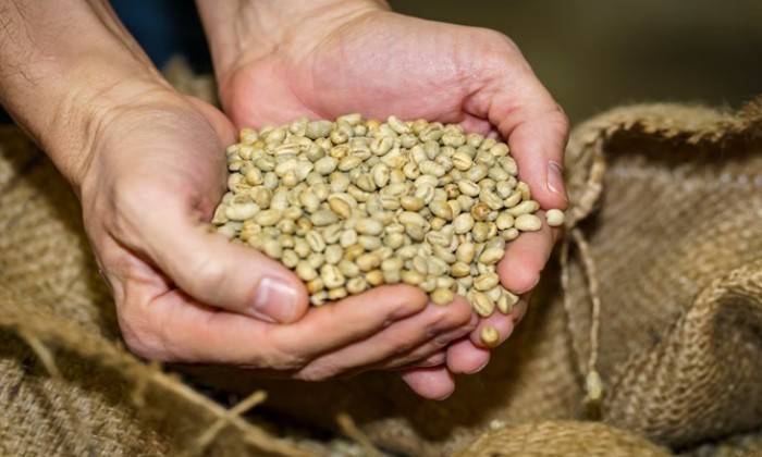 Puzzle Café en grain arabica