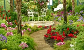 Puzzle 14702 - Jardin d'hiver