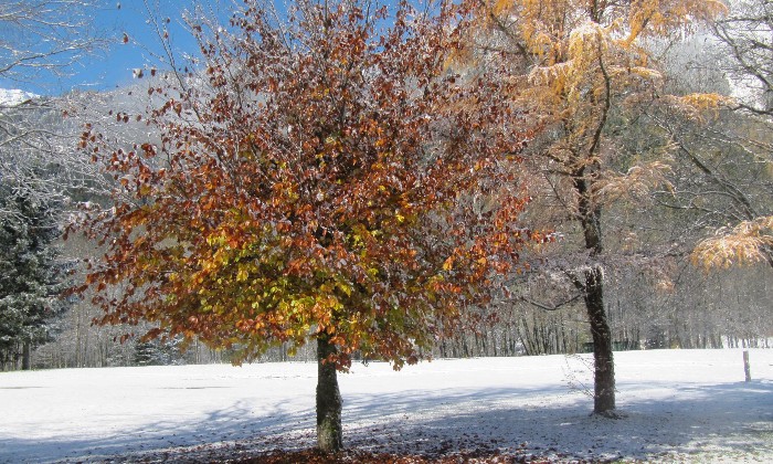 Puzzle paysage enneigé