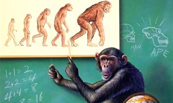 Puzzle 12380 - l'évolution