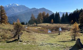 Puzzle 12415 - Automne somptueux