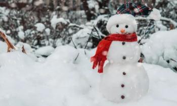 Puzzle 14517 - Je supporte bien l'écharpe